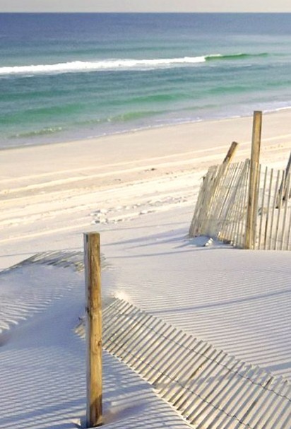 white-sandy-beach-wallpaper-1680x1050.jpg